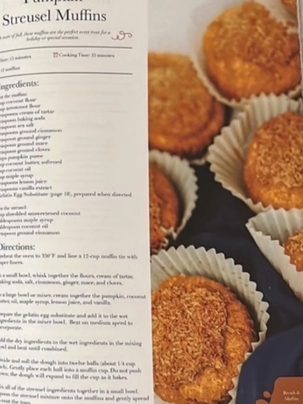 He Won’t Know it’s Paleo~100+ Autoimmune Protocol Recipes Cookbook